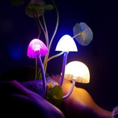 Mushroom Night Light